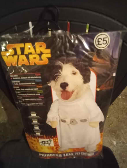 Photo of free Dress your dog (WF13) #1