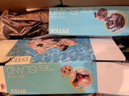Photo of free Two large inflatable floaties (Wedgwood) #1