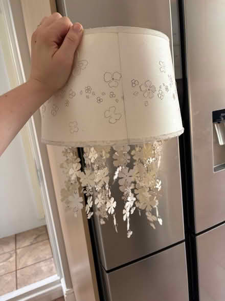 Photo of free Two floral lamp shades (BR3) #1