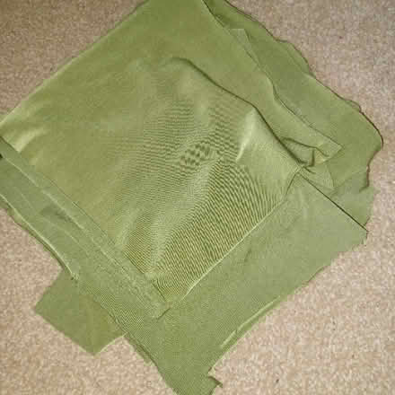 Photo of free 2 pieces of green material (Denton's Green WA10) #1