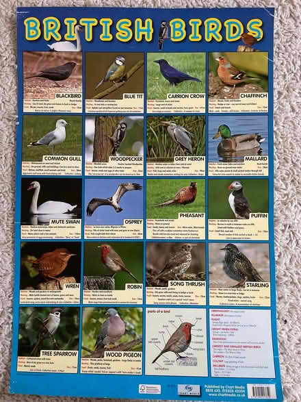 Photo of free British birds poster (Starbeck HG2) #1