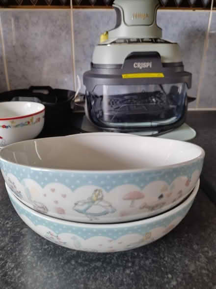 Photo of free Pasta bowls (Rowner PO13) #1