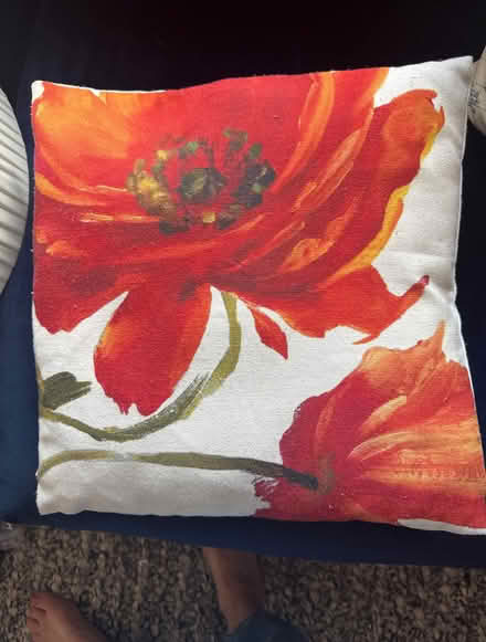 Photo of free Poppy cushion (Wheathampstead AL4) #1