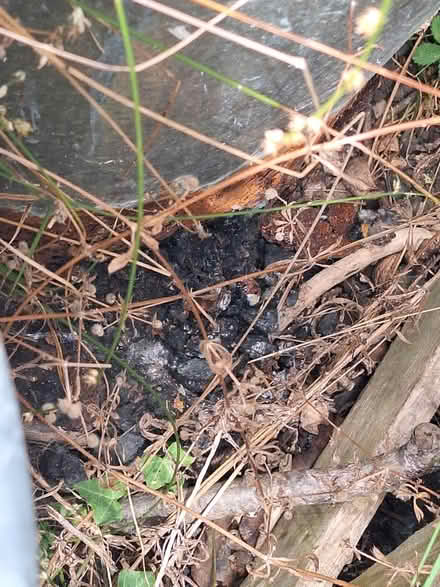 Photo of free Anthracite (South Green CM11) #3