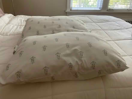 Photo of free 2 Nautica pillows (Near St. Main and Woodlawn) #1