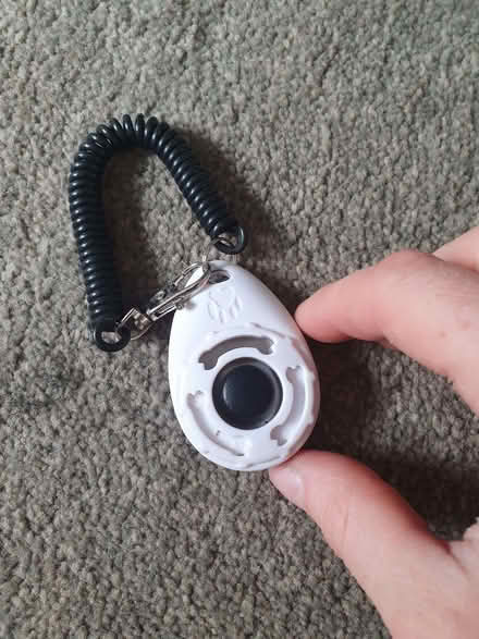 Photo of free Dog training clicker (Swindon SN1) #1