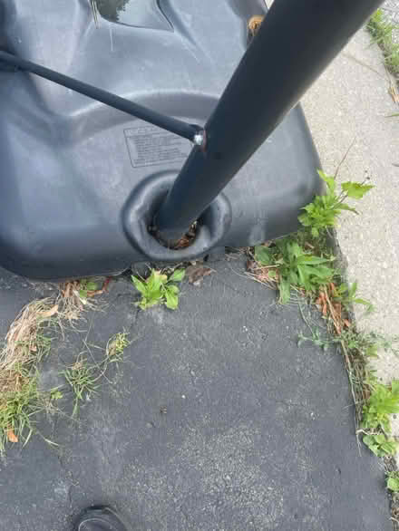 Photo of free Basketball net (Trelawny Circle L5n6n9) #2