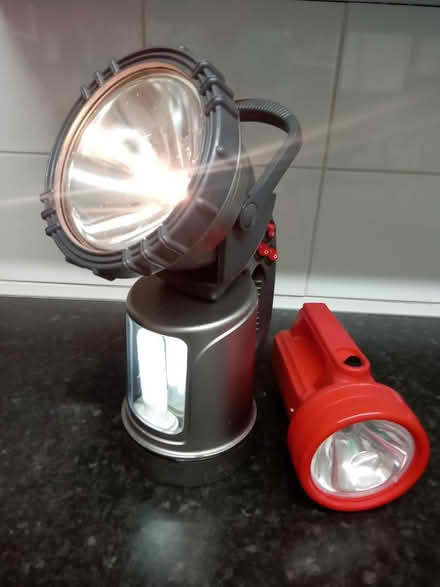 Photo of free Pair of large torches (Darley. DE1) #1