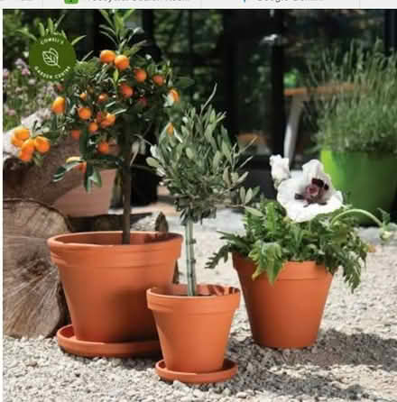 Photo of Flower Pots (Stanfield ST6) #1