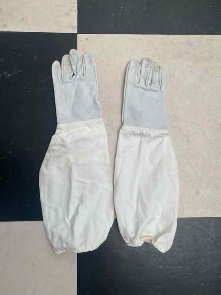 Photo of free Bee keeper clothing (Cork city) #3