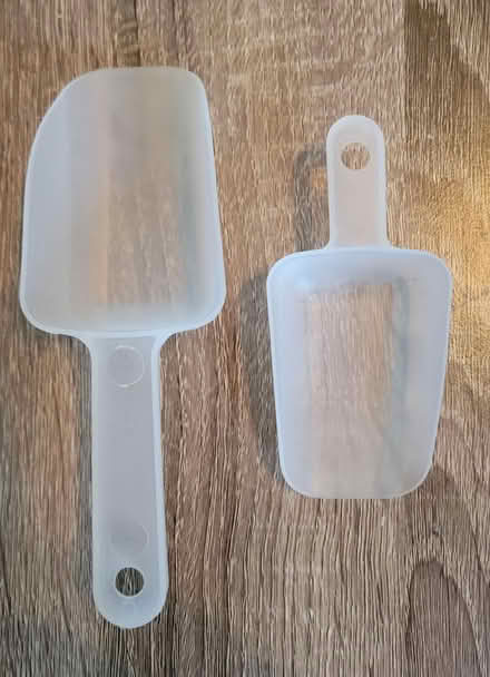 Photo of free Scoops (Medford ma) #1
