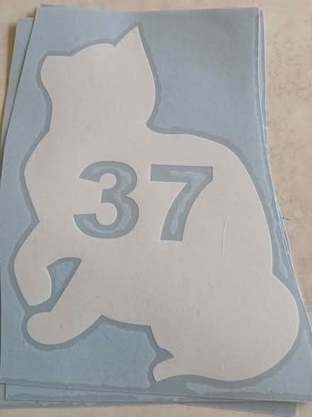 Photo of free Unused 4 cat decals (Minster Lovell OX29) #1
