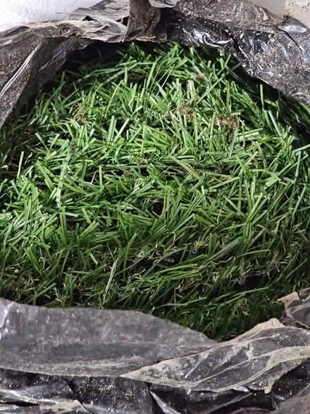 Photo of free Roll artificial grass (BN10) #2