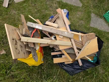 Photo of free Mixed wood (Crookes S10) #1