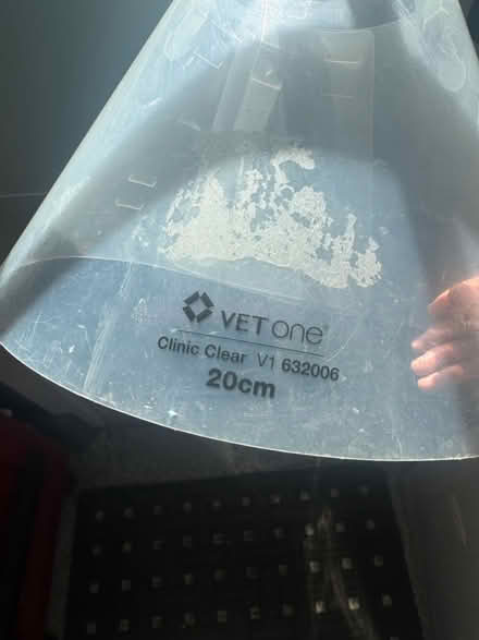 Photo of free Dog no chew cone collar (101 and Fair Oaks Sunnyvale) #2