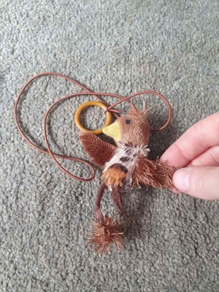 Photo of free Cat toy (Swindon SN1) #1