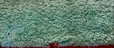 Photo of free Large rug (Southwaite CA4) #2