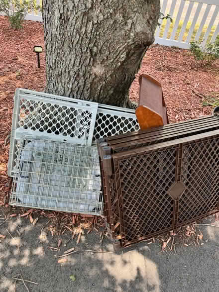 Photo of free Dog stuff (Springfield, VA -22150) #1
