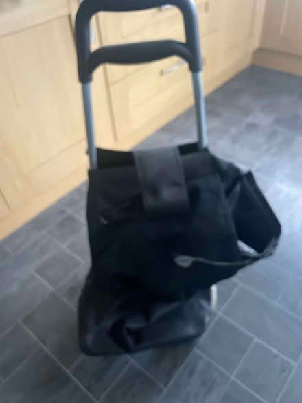 Photo of free Shopping Trolley (Pelaw NE10) #1