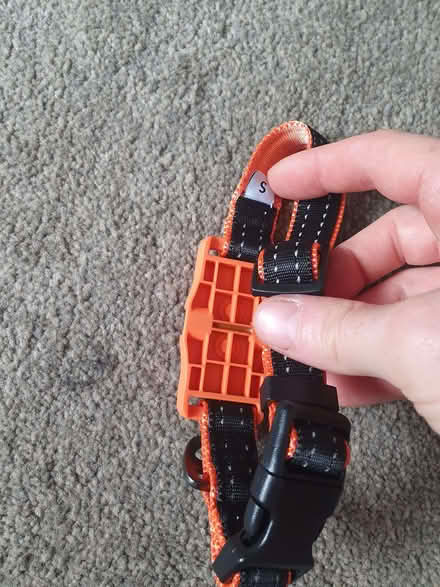 Photo of free Dog - pawfit collar in small (Swindon SN1) #2