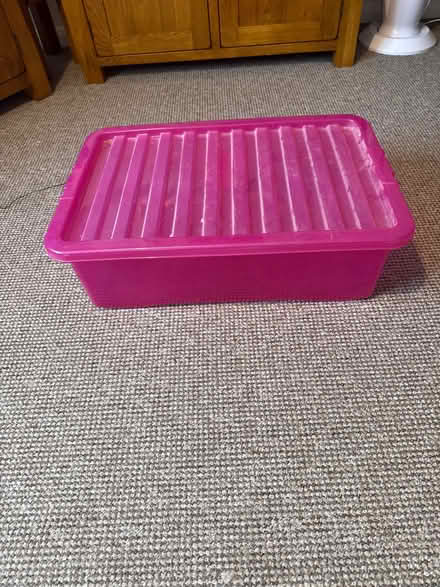 Photo of free Large pink storage box (Eastbourne BN21) #1