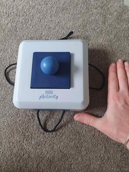 Photo of free Dog activity toy (Swindon SN1) #1