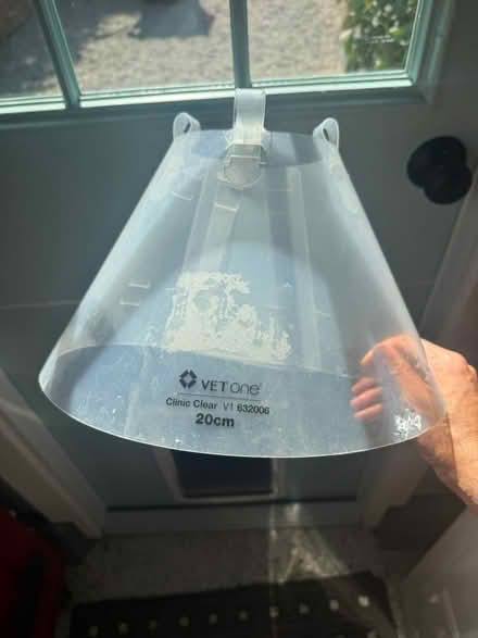 Photo of free Dog no chew cone collar (101 and Fair Oaks Sunnyvale) #1