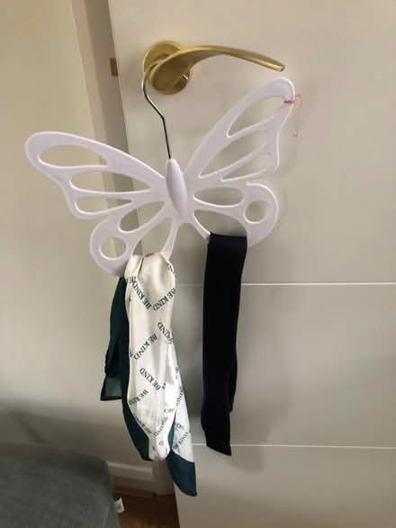 Photo of free Hanger for belts or scarves (Richmond TW1) #2