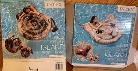Photo of free Two large inflatable floaties (Wedgwood) #2