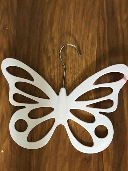 Photo of free Hanger for belts or scarves (Richmond TW1) #1