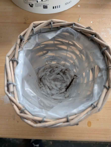 Photo of free Indoor plants pot decorative cover (Kidlington OX5) #2