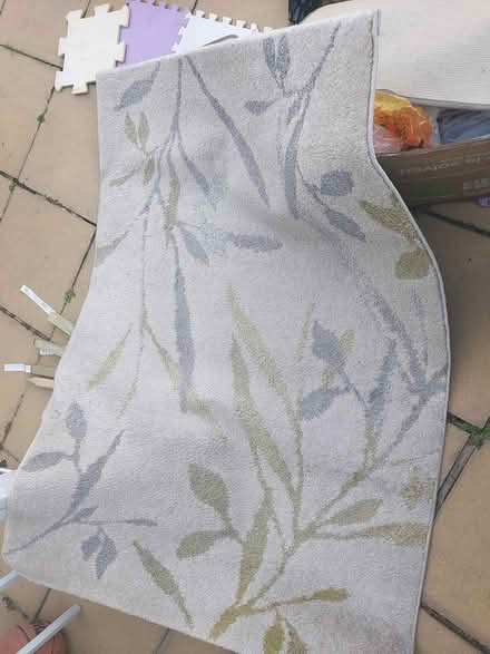 Photo of free Rug (SW18) #1