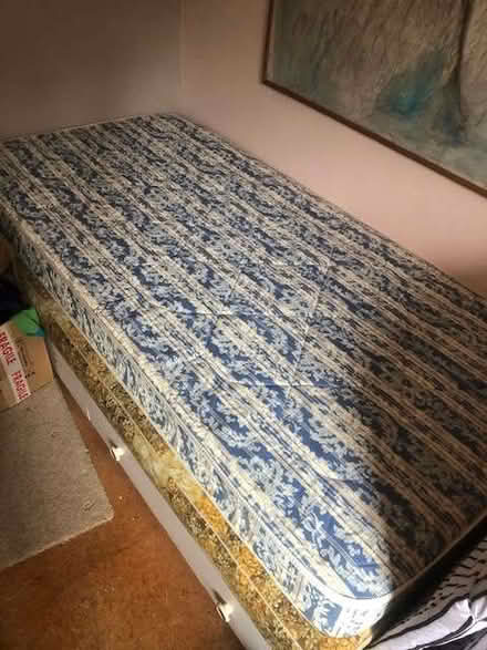 Photo of free Single bed & mattress (Thorpe St Andrew NR7) #1