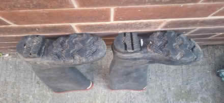 Photo of free Wellingtons (Argyll) (Harrogate HG1) #4