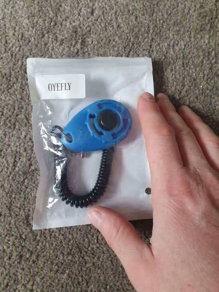 Photo of free Dog clicker (Swindon SN1) #1