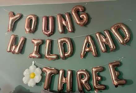 Photo of free Balloons (Andover SP11) #1