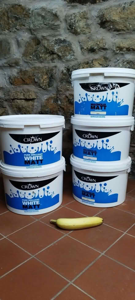 Photo of free White and magnolia paint (Central Lancaster LA1) #1