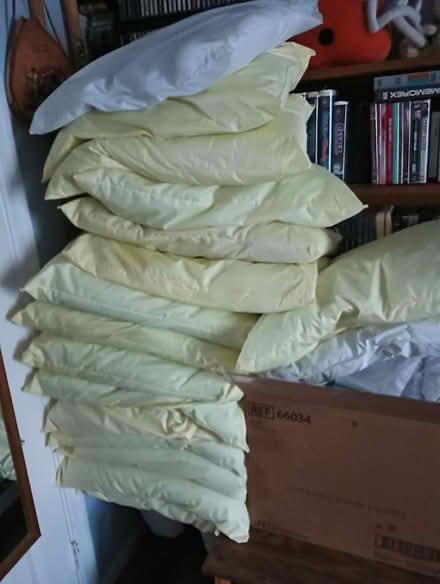 Photo of free hospital pillows (Virginia Beach - Salem Lakes) #1