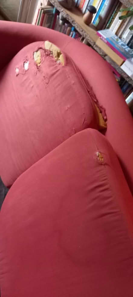 Photo of free 2 seater sofa (Hambridge TA10) #1