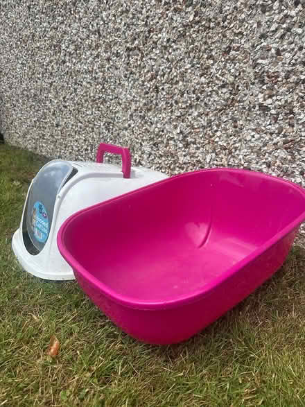 Photo of free Hooded cat loo (S70) #3