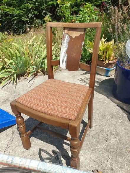 Photo of free Dining chair (Kenn Road BS21) #1