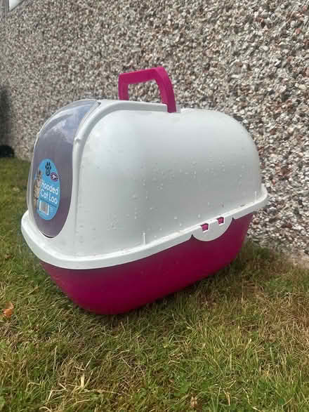 Photo of free Hooded cat loo (S70) #1