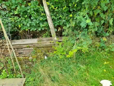 Photo of free wood and dismantled shelving made from planks (Knighton LD7) #1