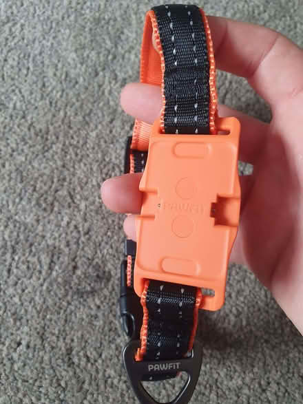 Photo of free Dog - pawfit collar in small (Swindon SN1) #1