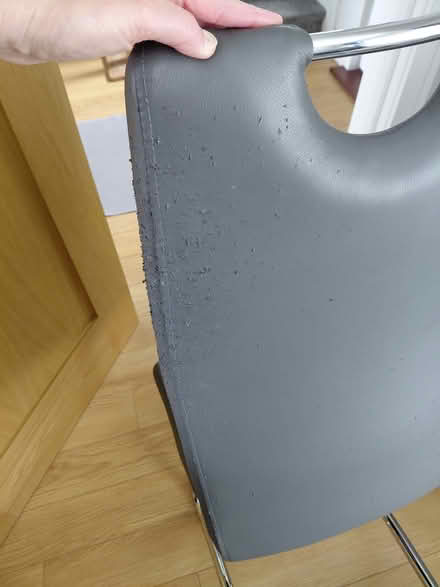 Photo of free Dining chairs (BT4) #3