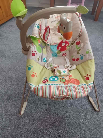 Photo of free Baby bouncer (Bedford MK40) #1