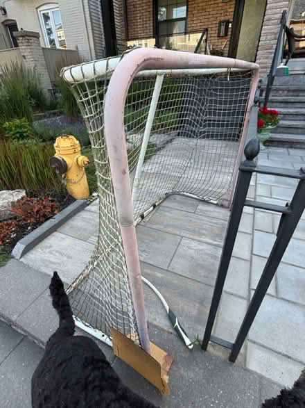 Photo of free Street hockey net (M4J 2X9) #2