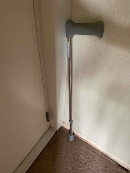 Photo of free Walking Stick (Colney Hatch N10) #1