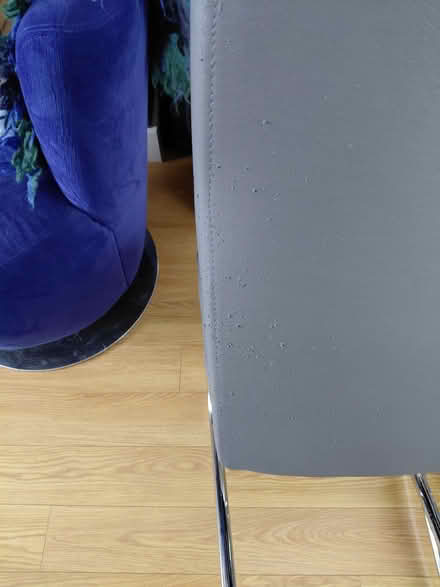 Photo of free Dining chairs (BT4) #1