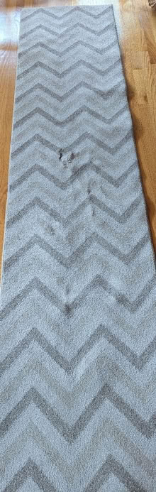 Photo of free Carpet runner (N Leverett) #1